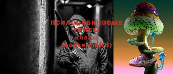 молекула духа Беломорск