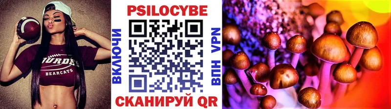 мориарти как зайти Гулькевичи Галлюциногенные грибы Psilocybe