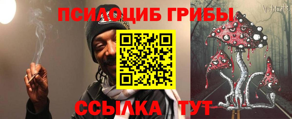 Псилоцибиновые грибы Psilocybe  Вход с VPN  Гулькевичи 